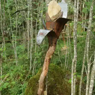 Puujumalpuisto 2024